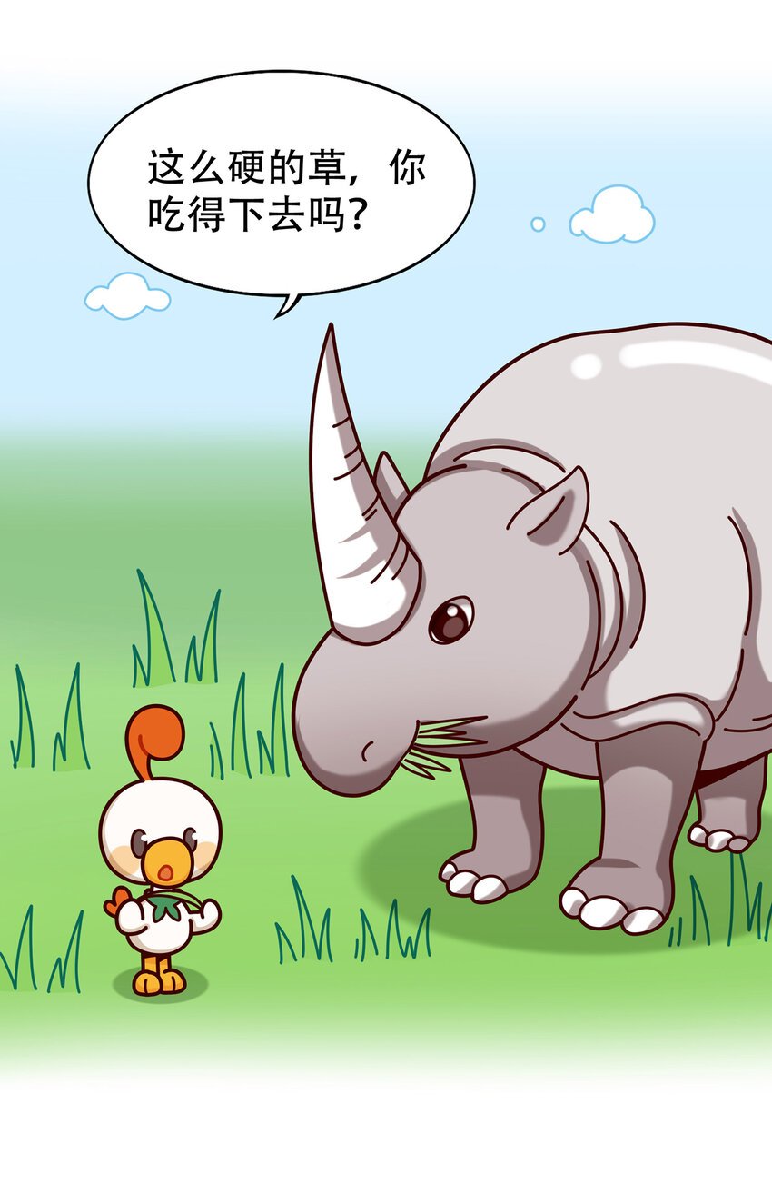 06 神秘的“独角兽”