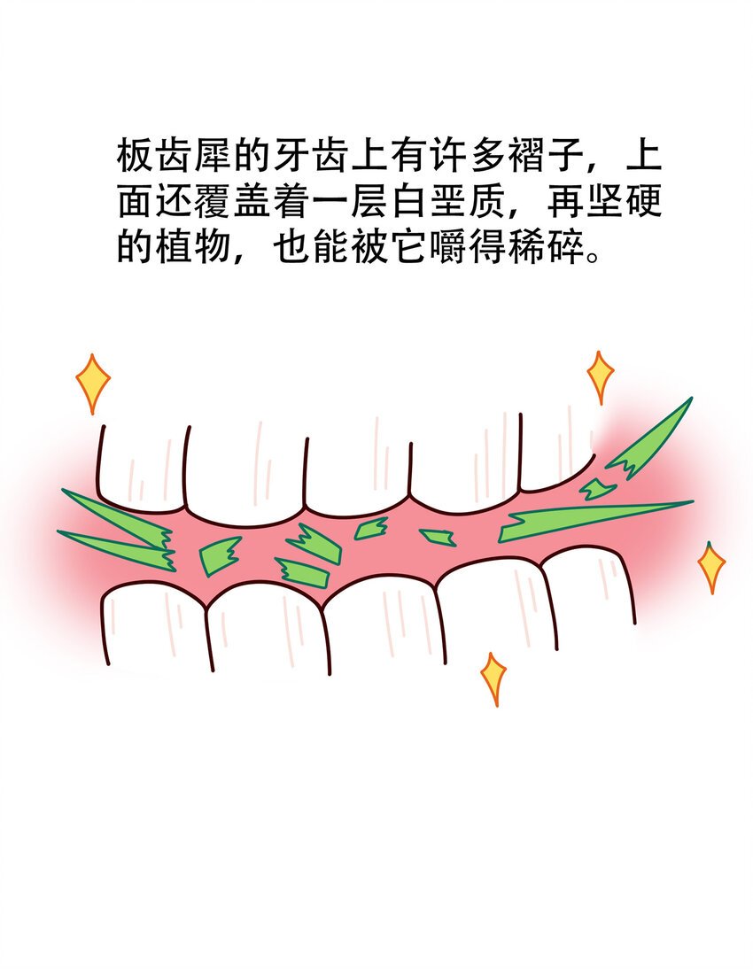 06 神秘的“独角兽”