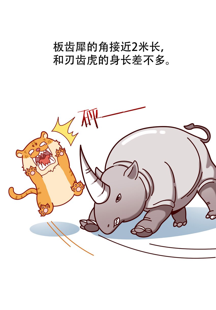 06 神秘的“独角兽”