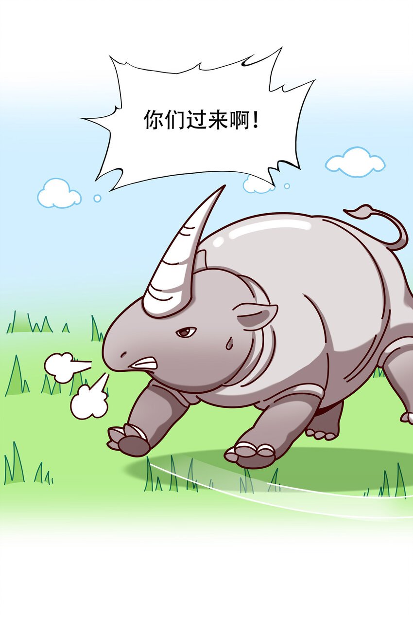 06 神秘的“独角兽”