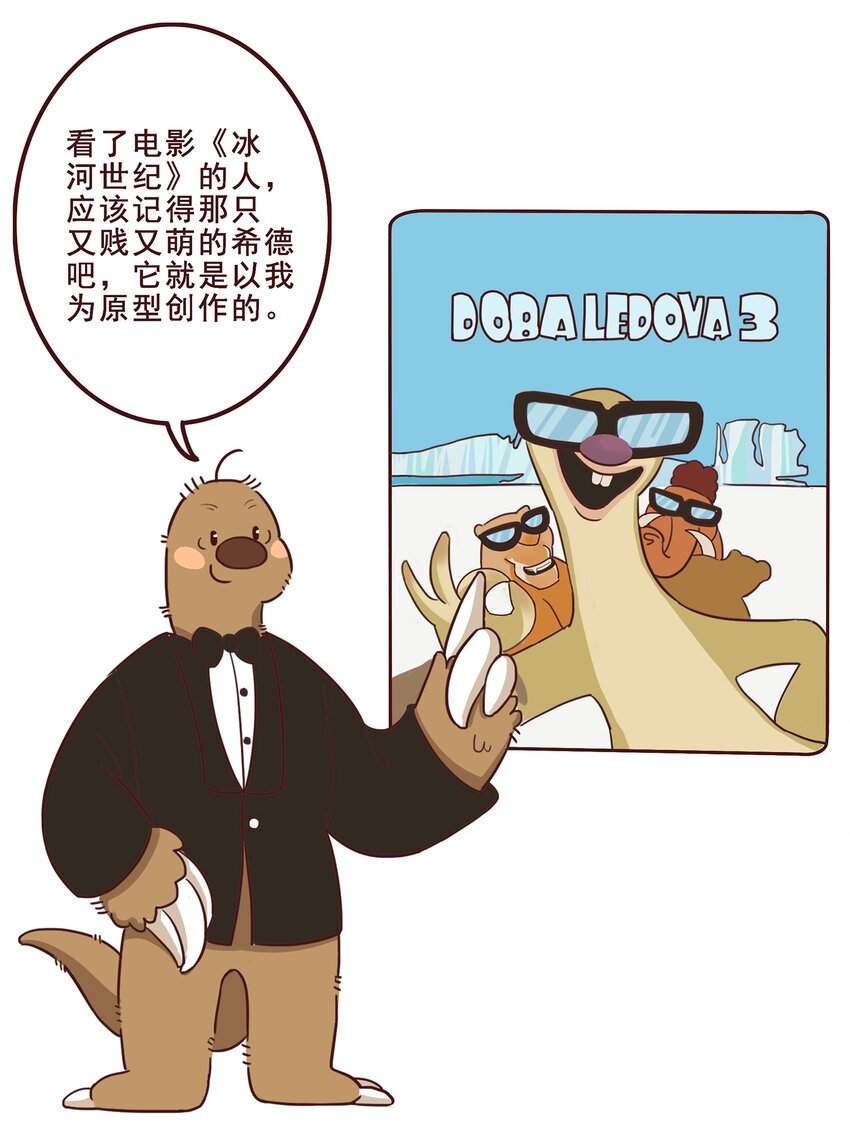 05 有“金刚爪”的大可爱