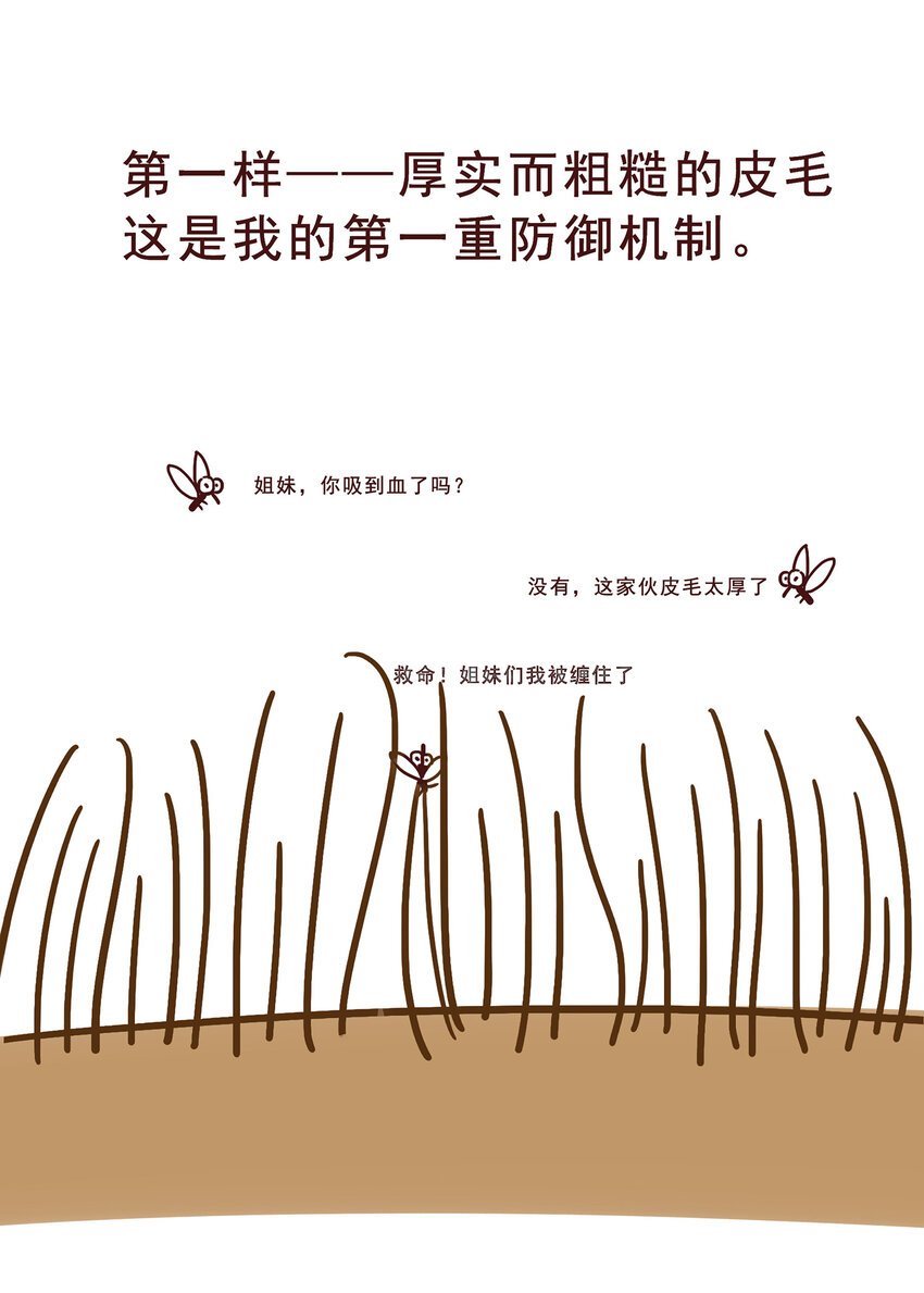05 有“金刚爪”的大可爱