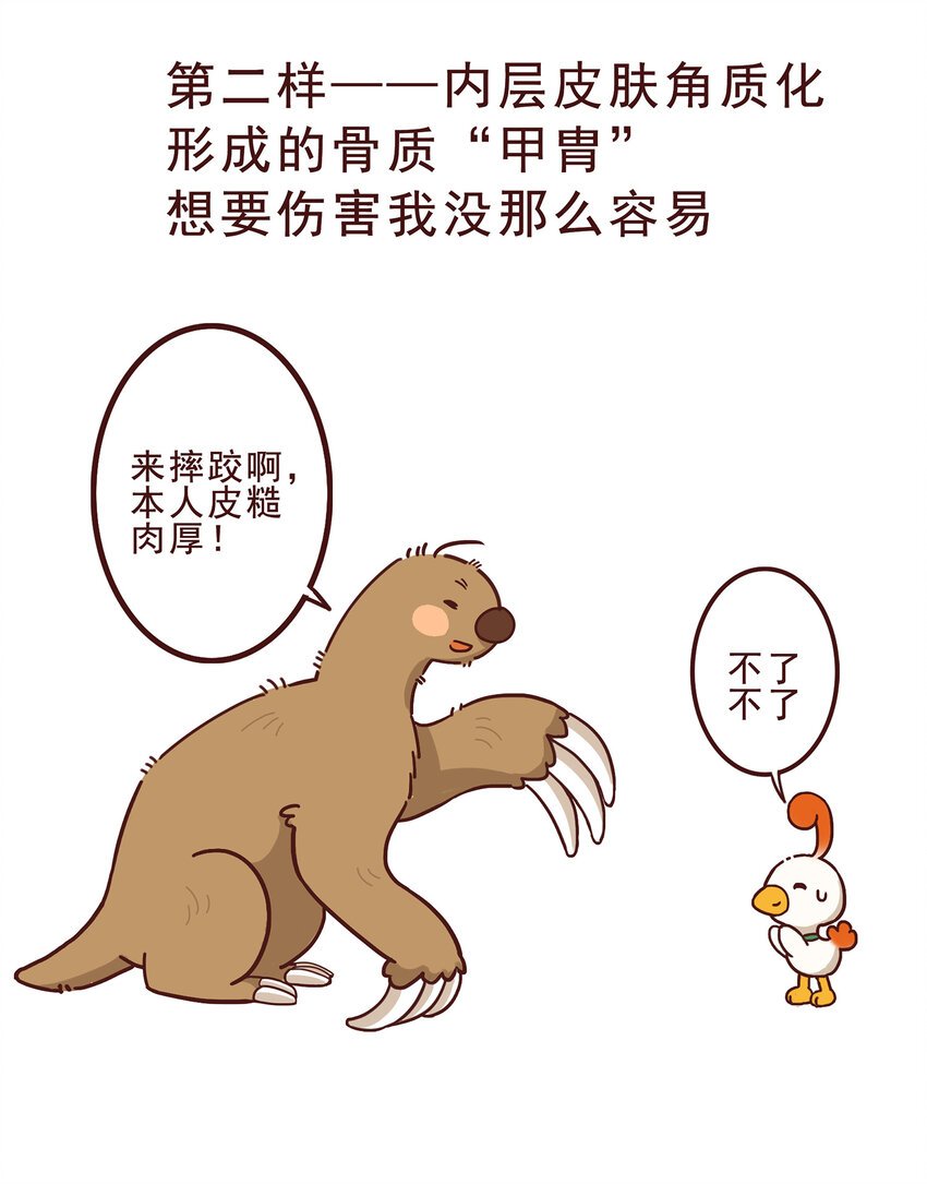 05 有“金刚爪”的大可爱