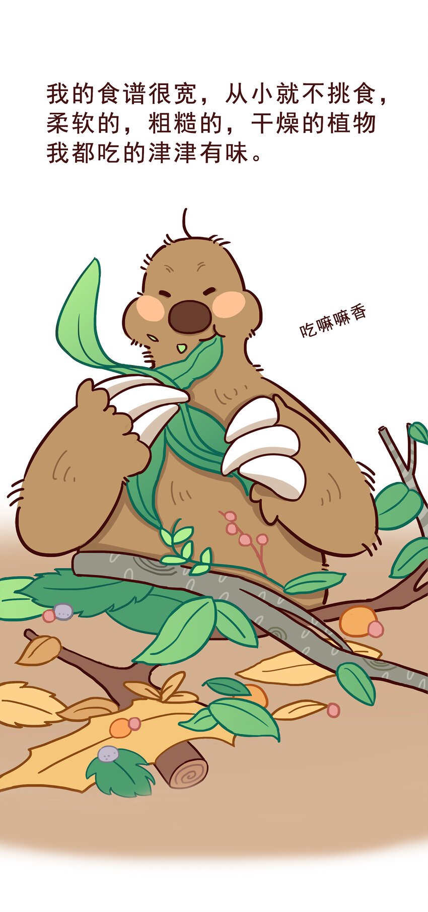 05 有“金刚爪”的大可爱