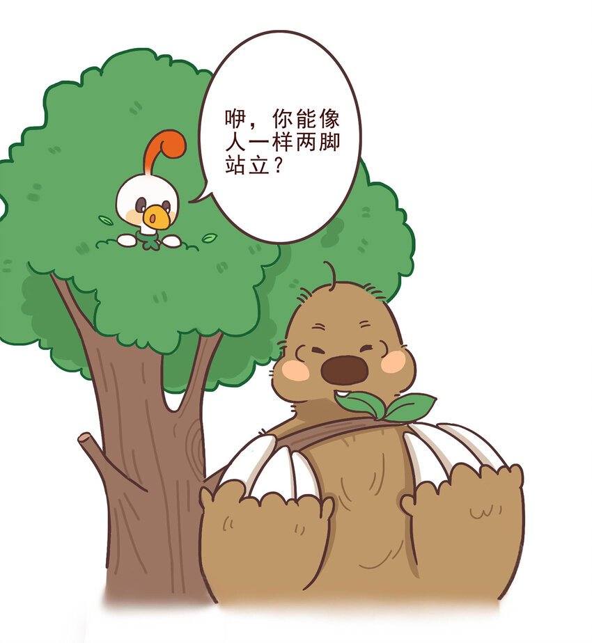 05 有“金刚爪”的大可爱