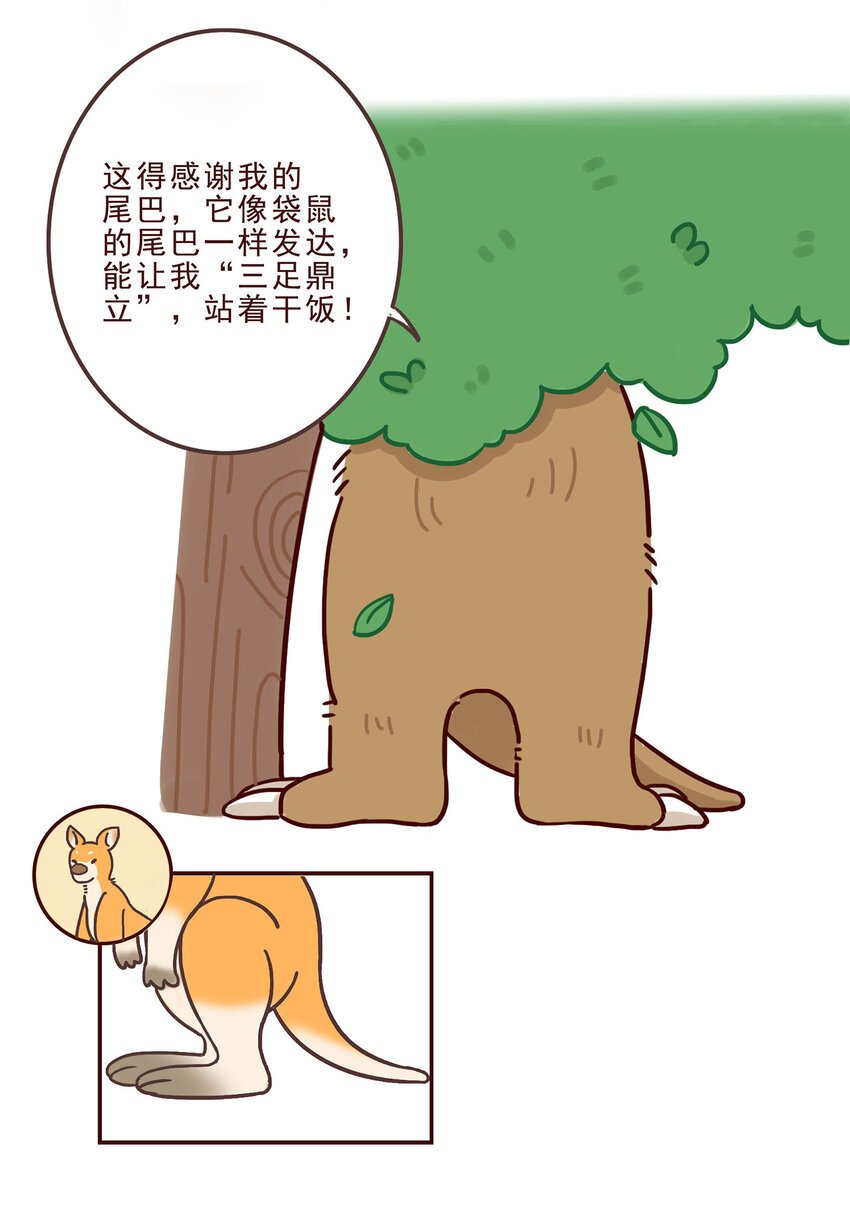 05 有“金刚爪”的大可爱