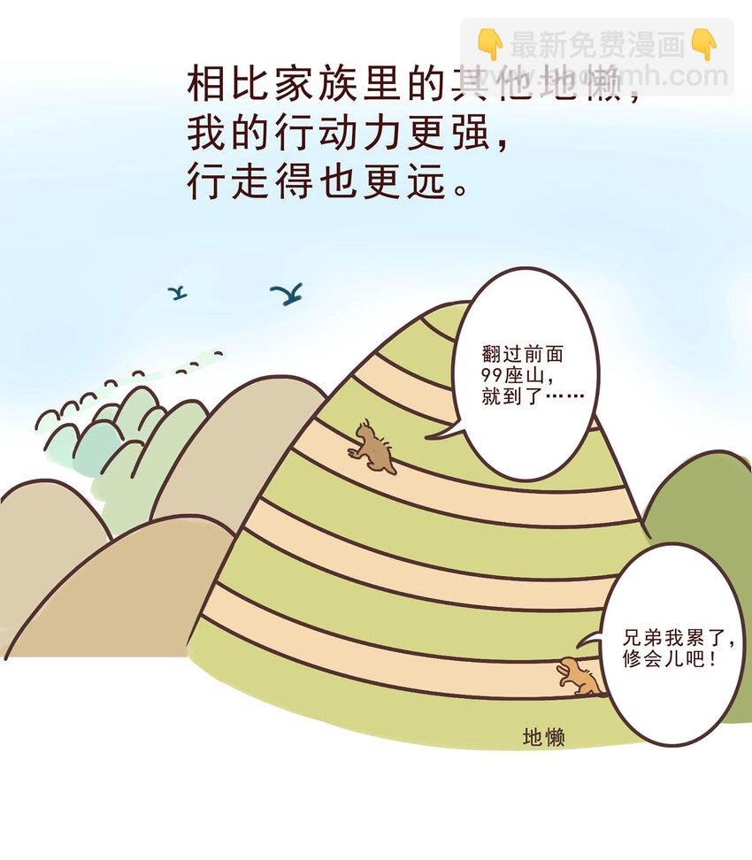 05 有“金刚爪”的大可爱