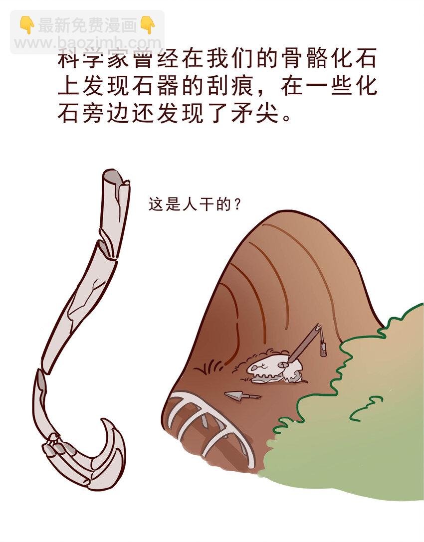 05 有“金刚爪”的大可爱