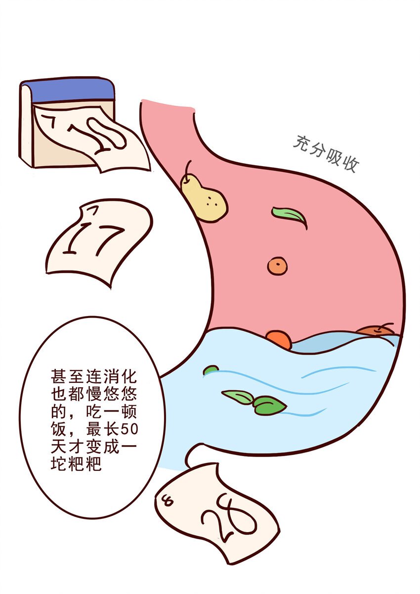 05 有“金刚爪”的大可爱