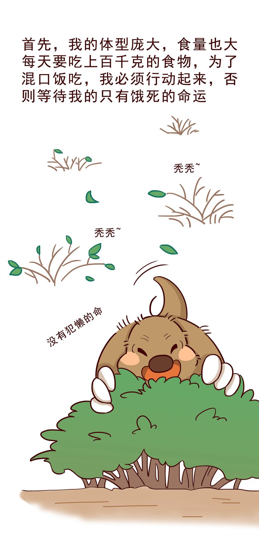 05 有“金刚爪”的大可爱
