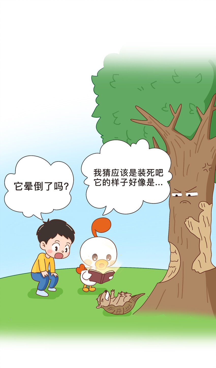 04 移动的“坦克”