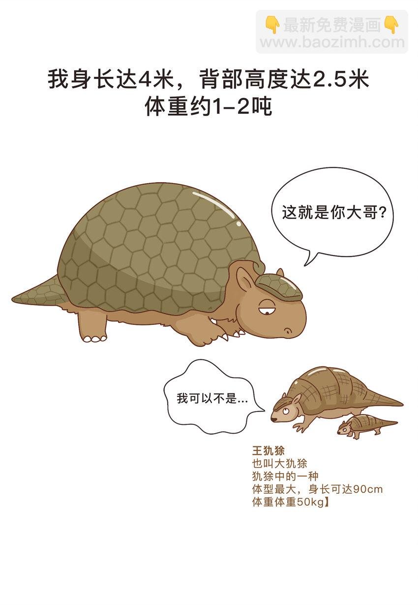 04 移动的“坦克”
