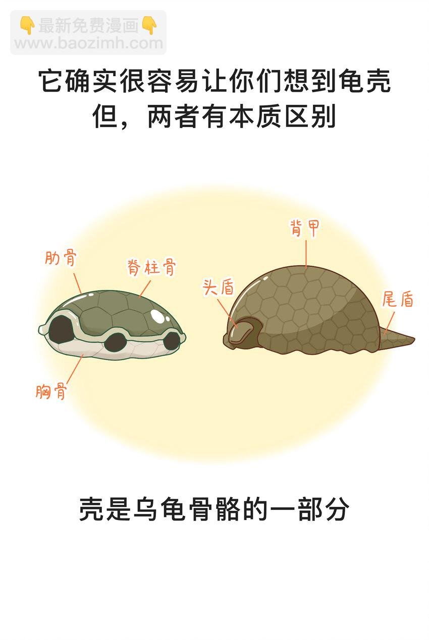 04 移动的“坦克”