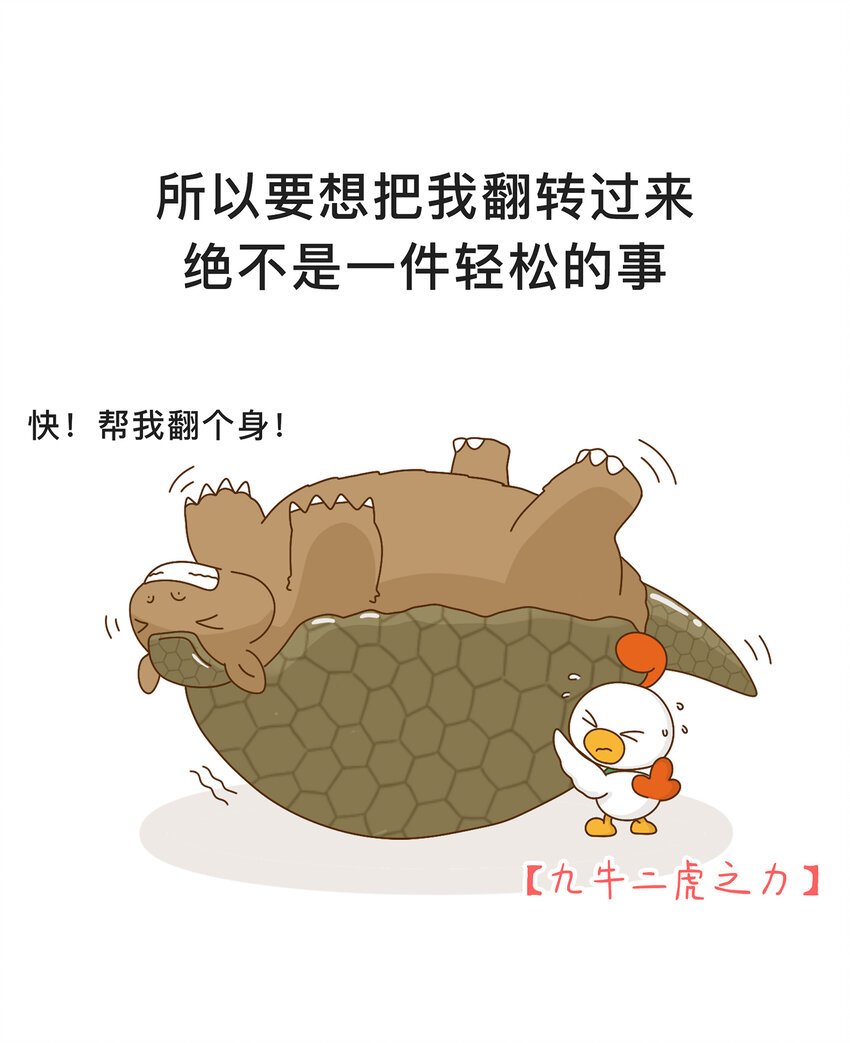 04 移动的“坦克”