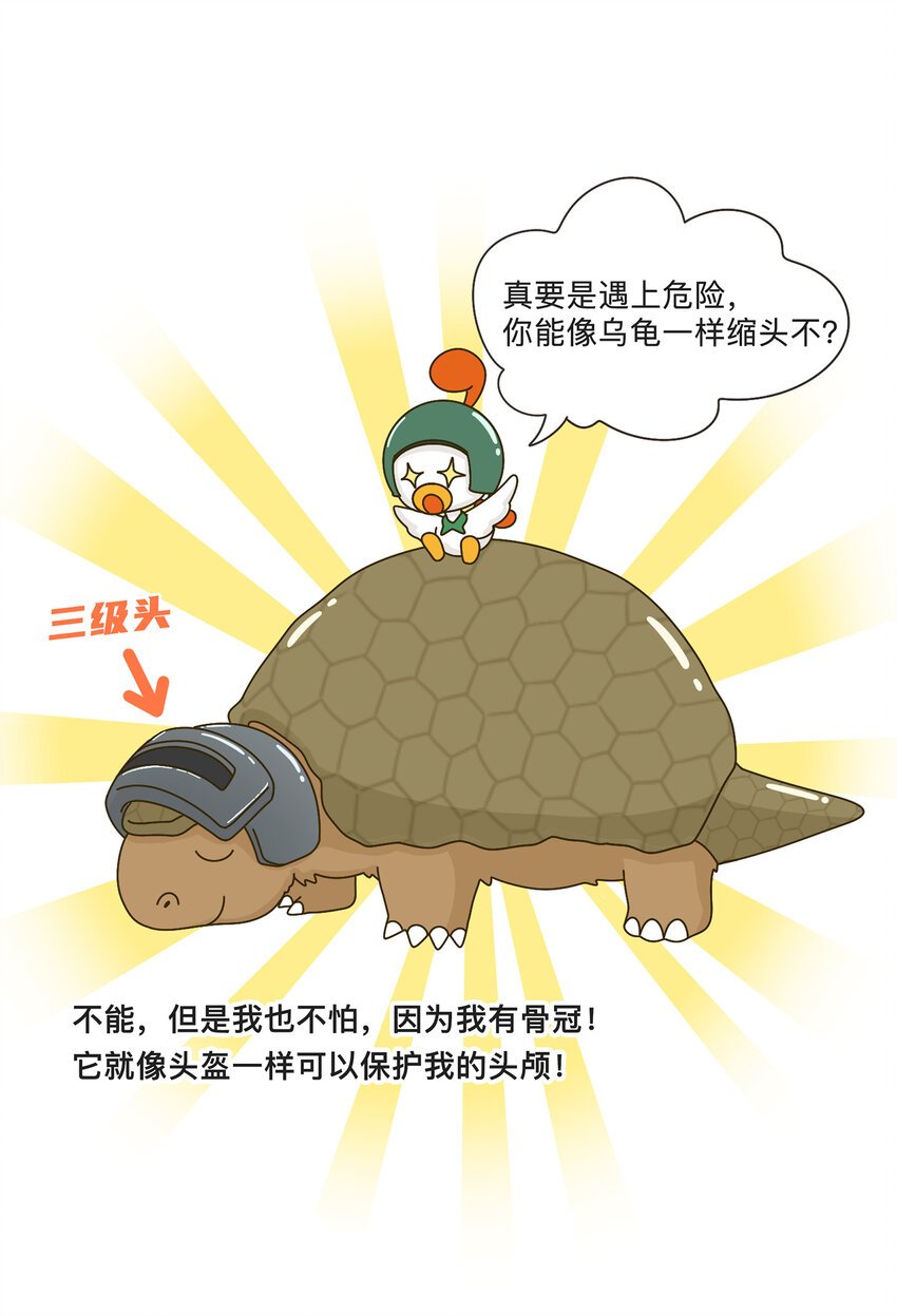 04 移动的“坦克”