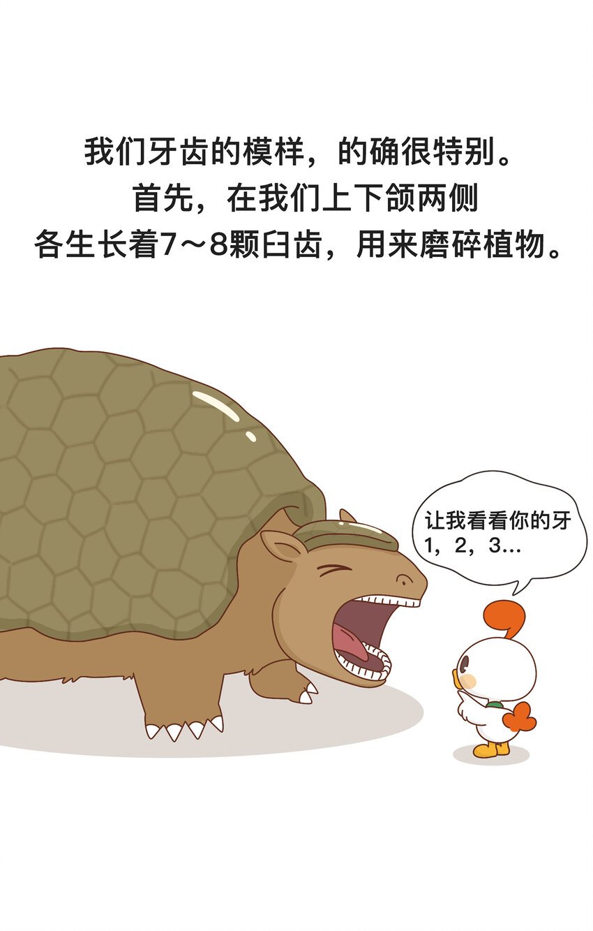 04 移动的“坦克”