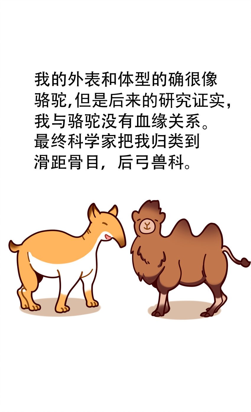 03 史前四不像