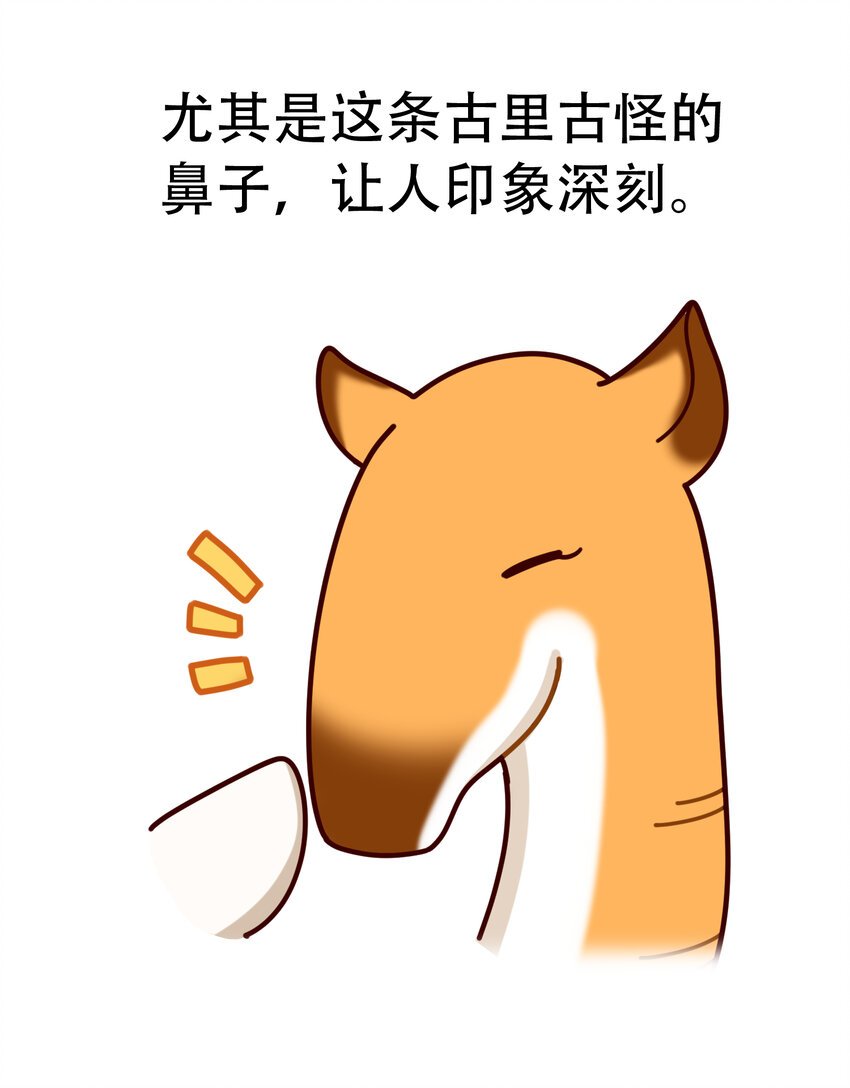 03 史前四不像