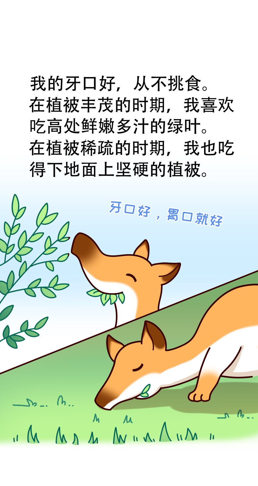 03 史前四不像
