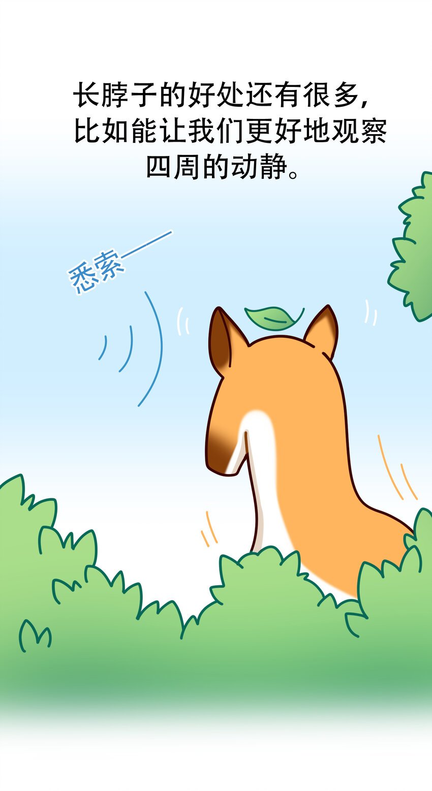 03 史前四不像