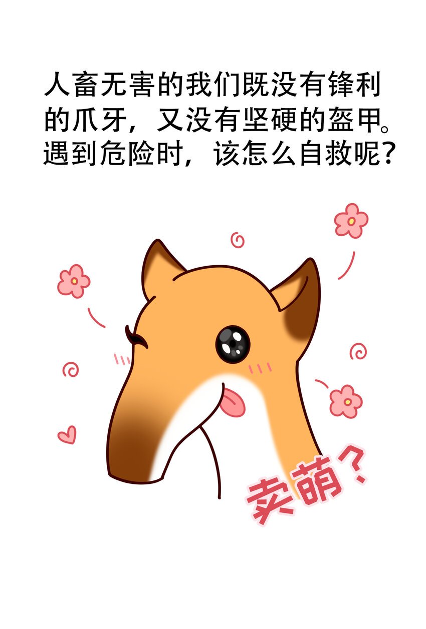03 史前四不像