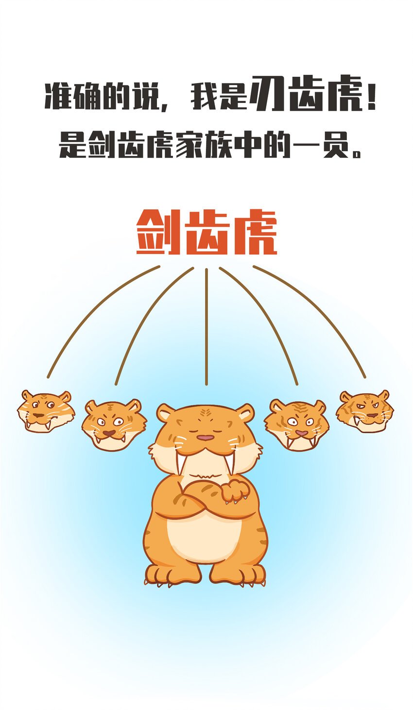 02 脆弱的“顶级猎兽”