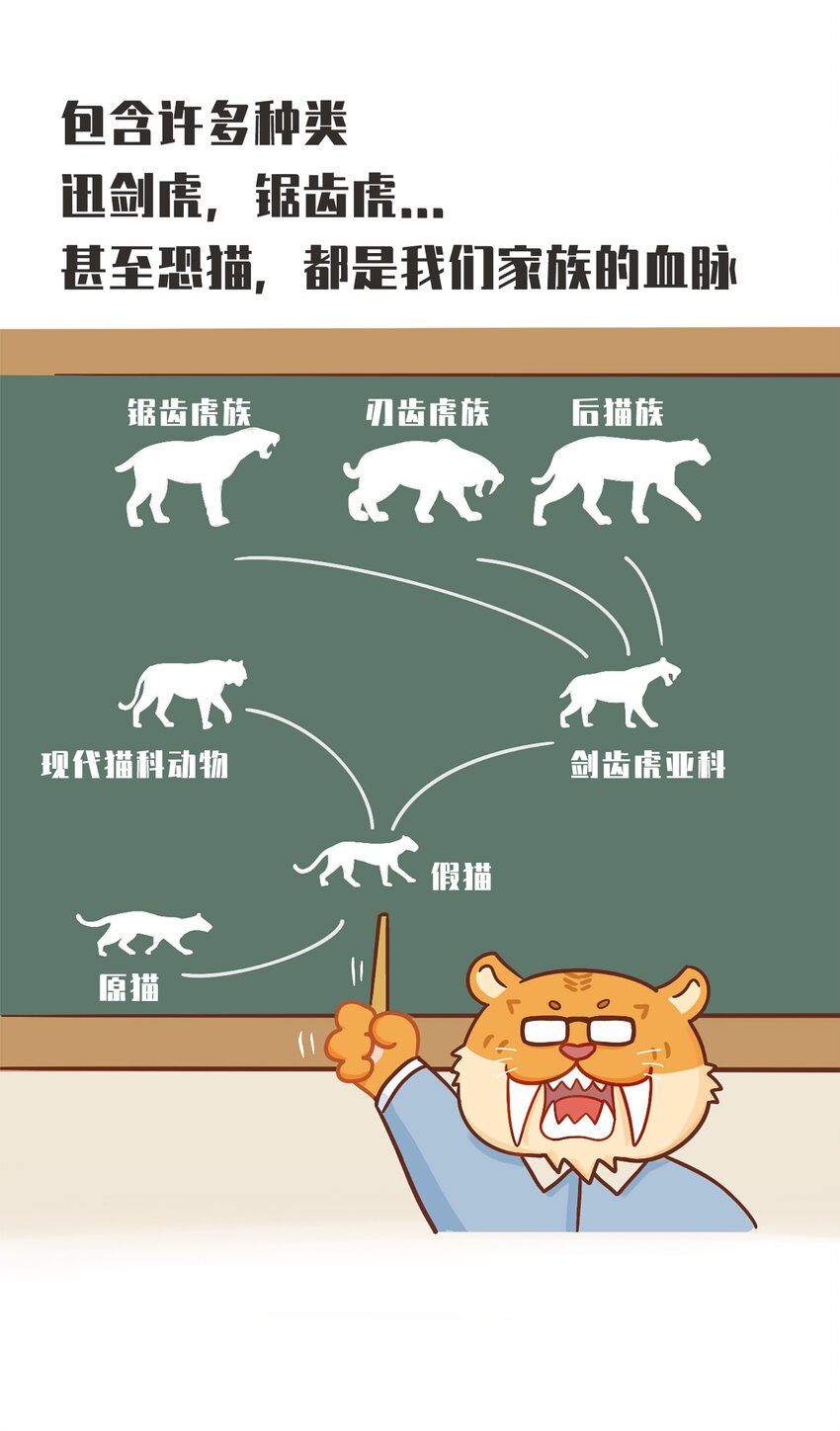 02 脆弱的“顶级猎兽”