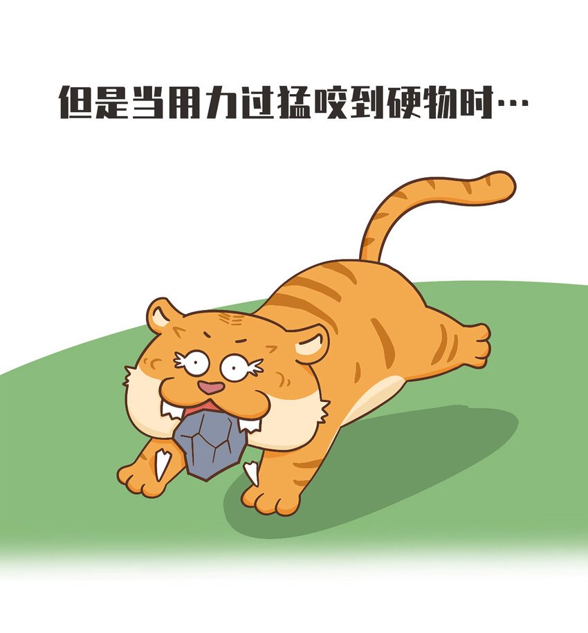 02 脆弱的“顶级猎兽”
