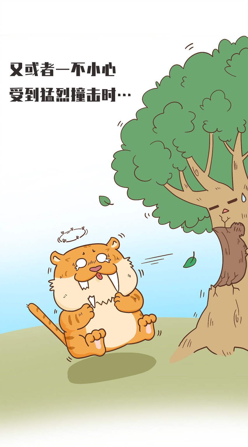 02 脆弱的“顶级猎兽”