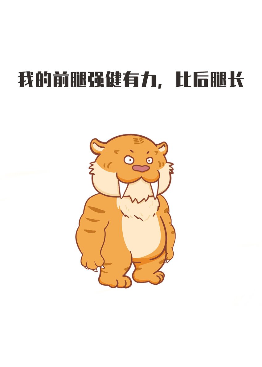 02 脆弱的“顶级猎兽”
