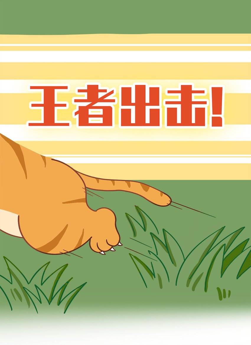 02 脆弱的“顶级猎兽”