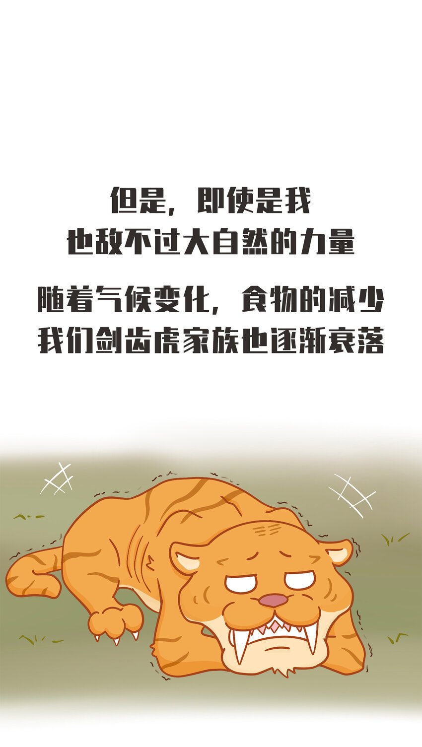02 脆弱的“顶级猎兽”