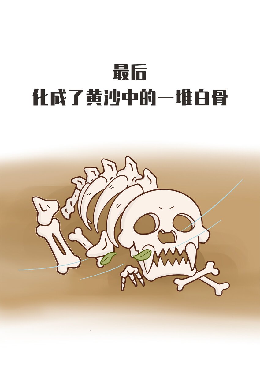02 脆弱的“顶级猎兽”