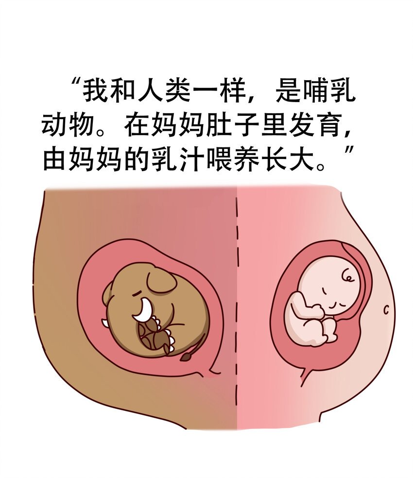 01 冰川时代的人气巨兽