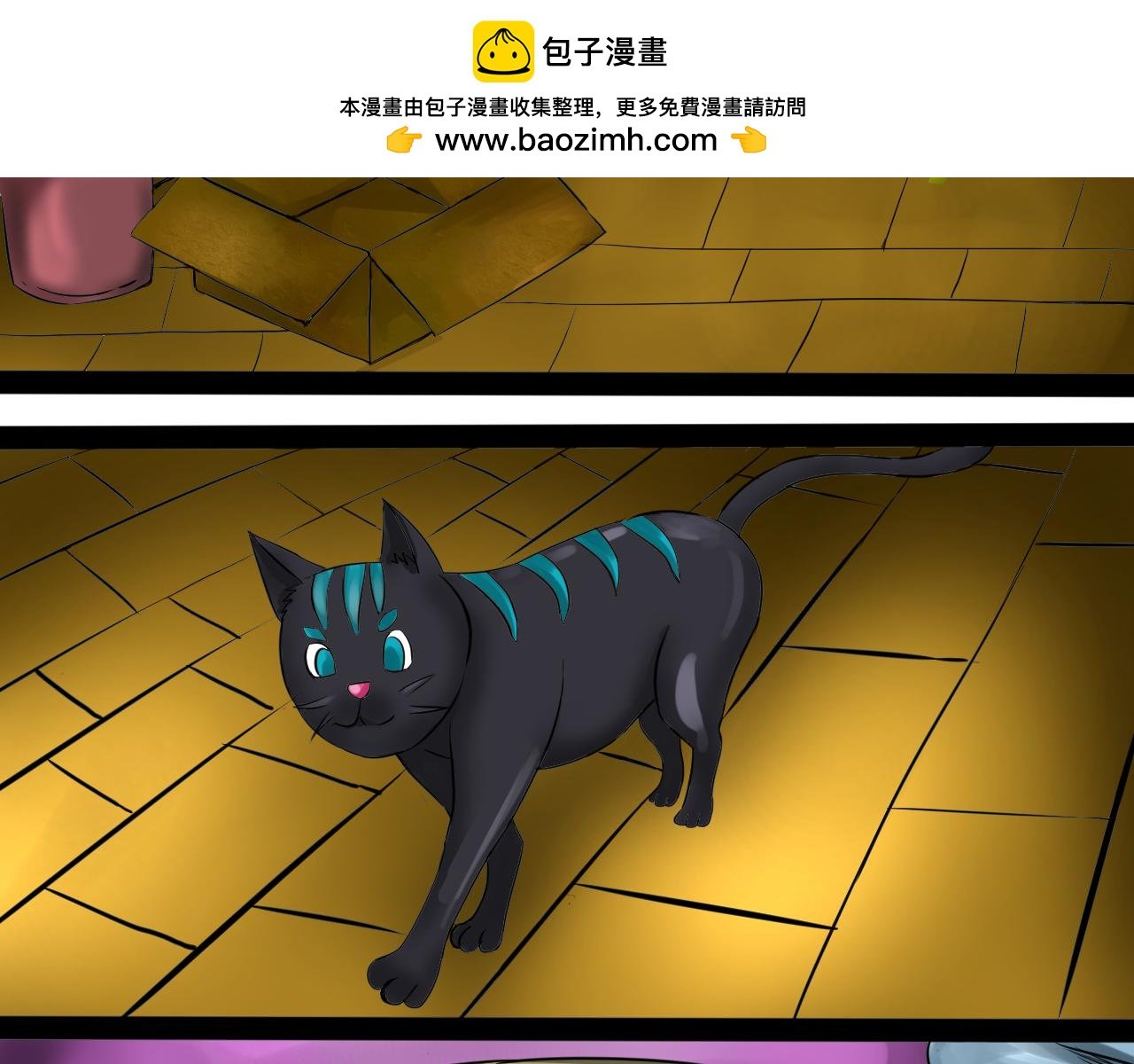 理想的世界