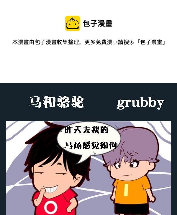 4 马和骆驼