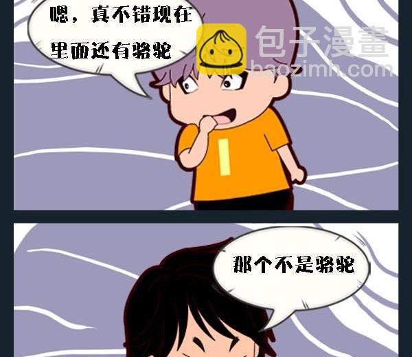 4 马和骆驼