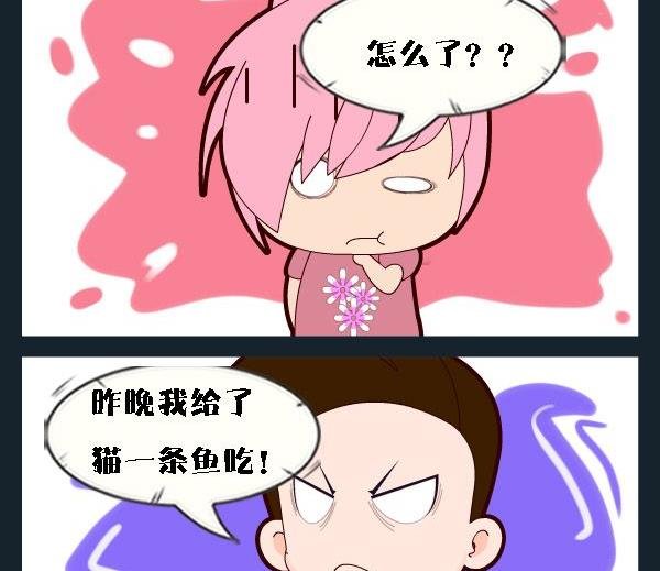 3 猫