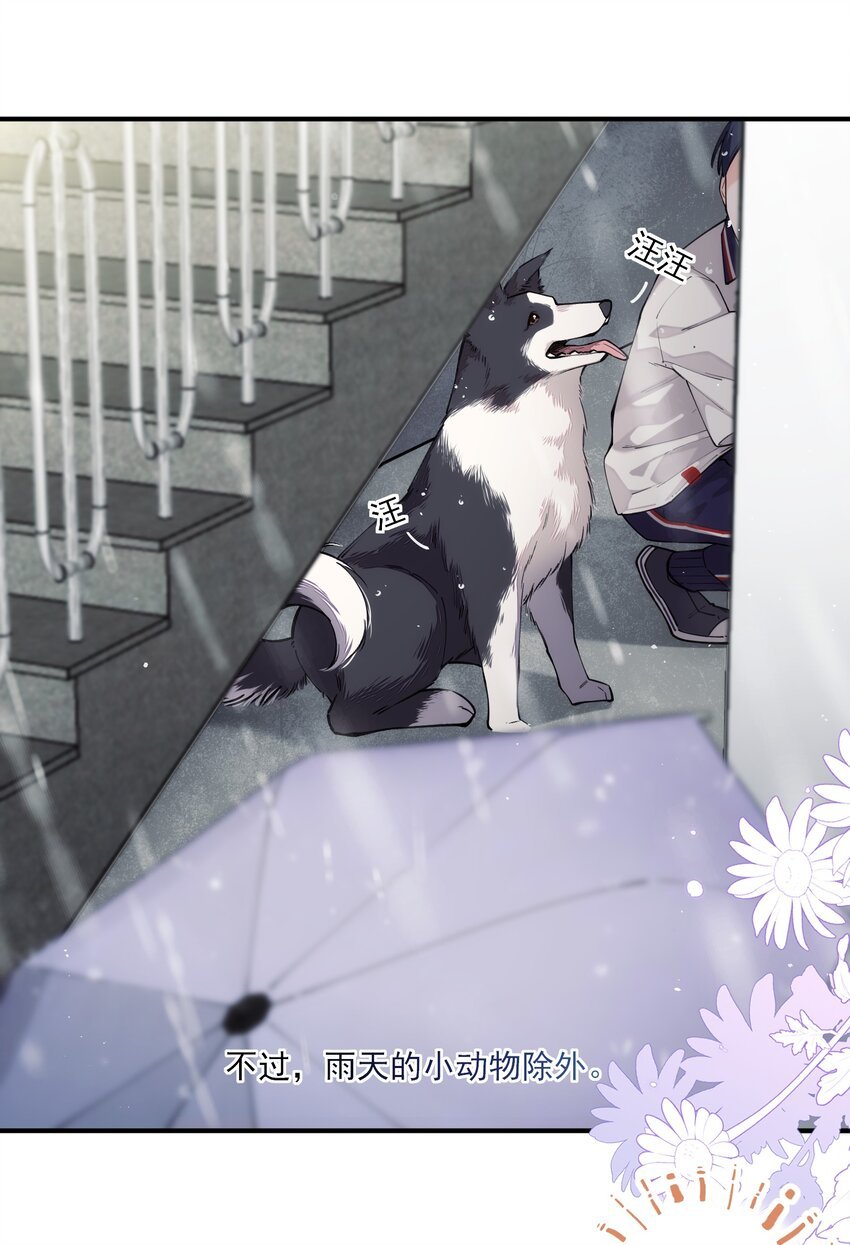 chap.01 雨天、狗