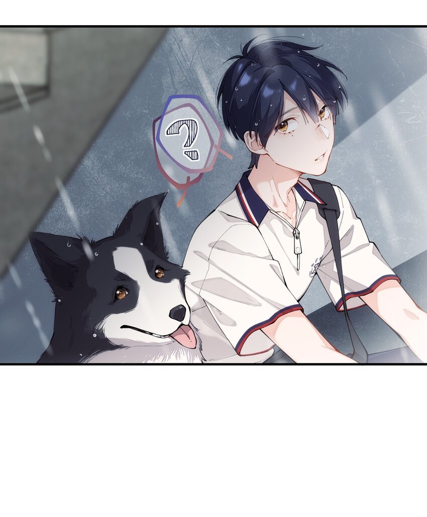 chap.01 雨天、狗