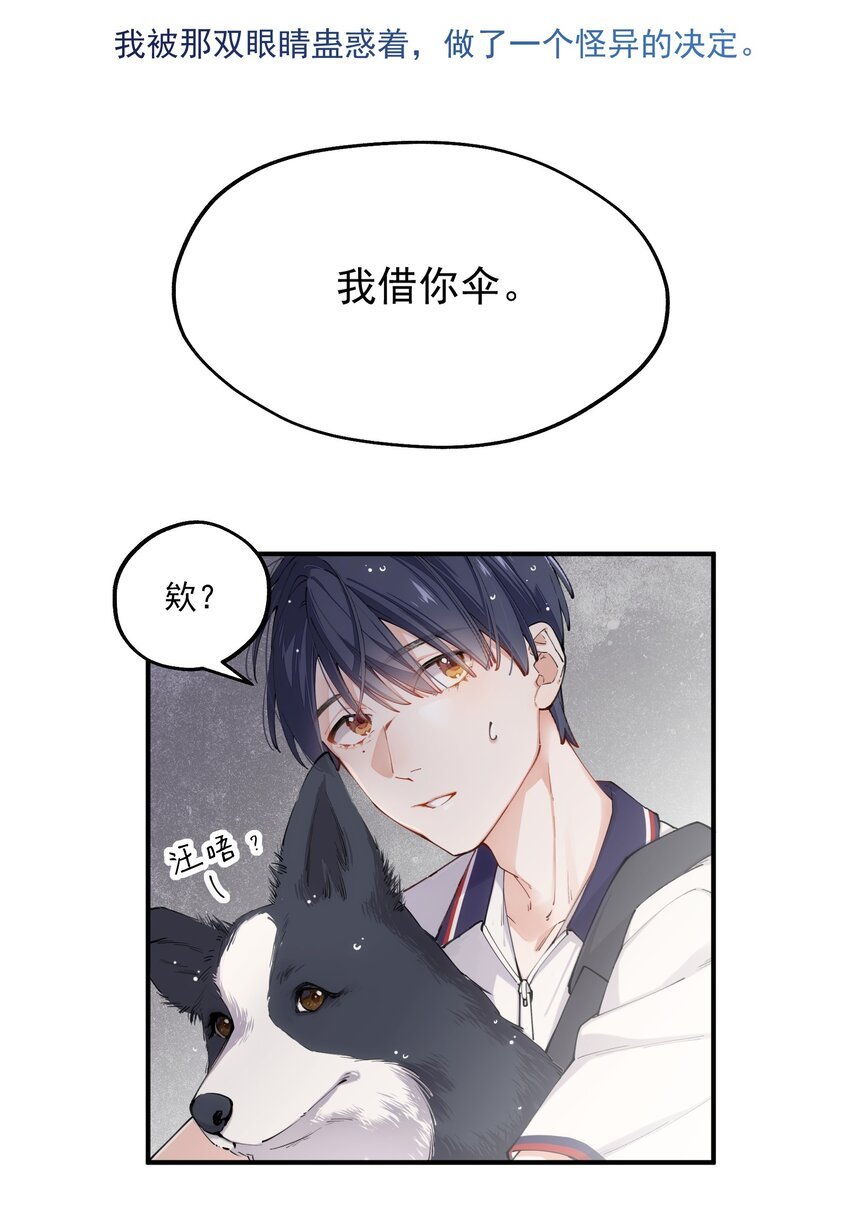 chap.01 雨天、狗