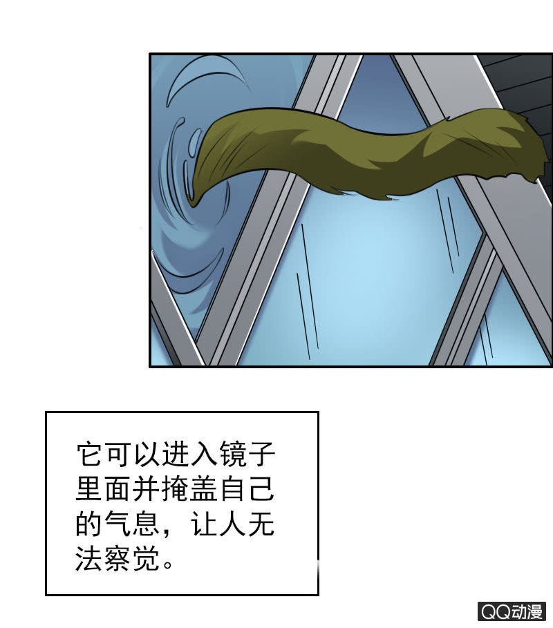 第006话
