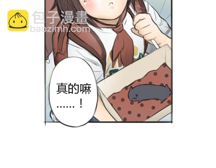 第4话 逃离猫咪王国？