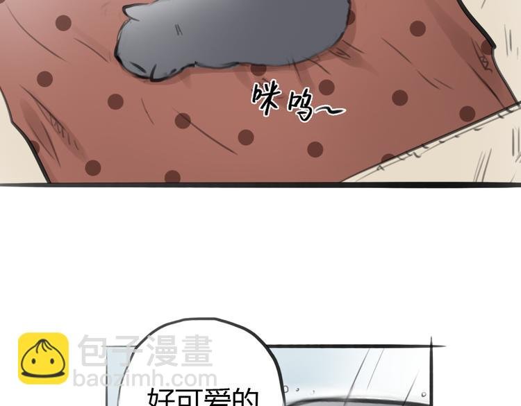 第4话 逃离猫咪王国？