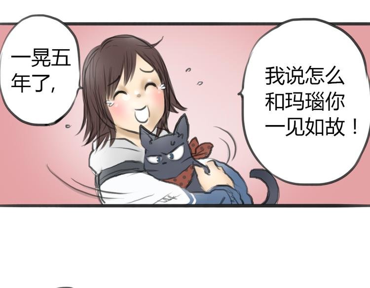 第4话 逃离猫咪王国？