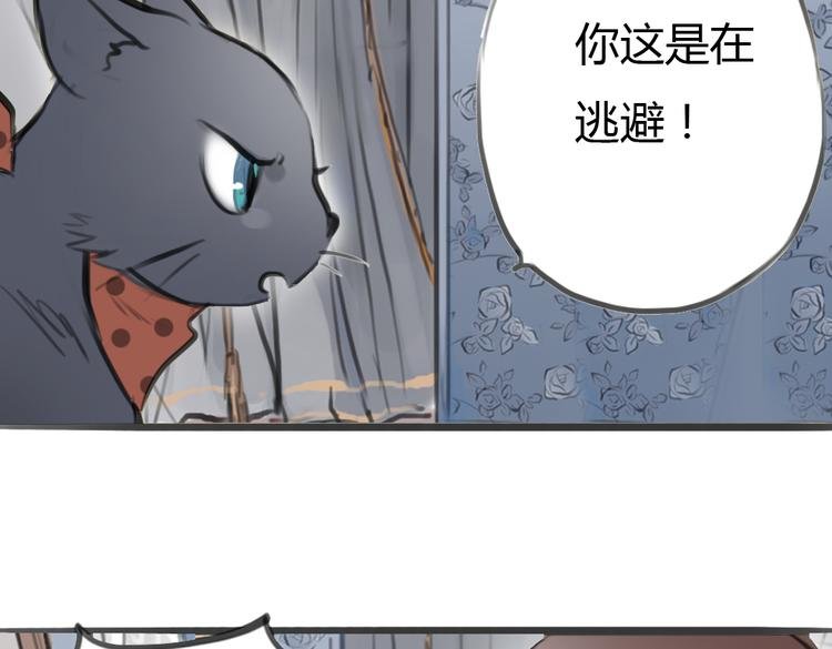 第4话 逃离猫咪王国？