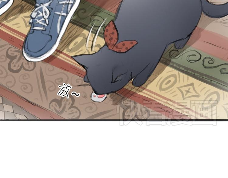 第4话 逃离猫咪王国？