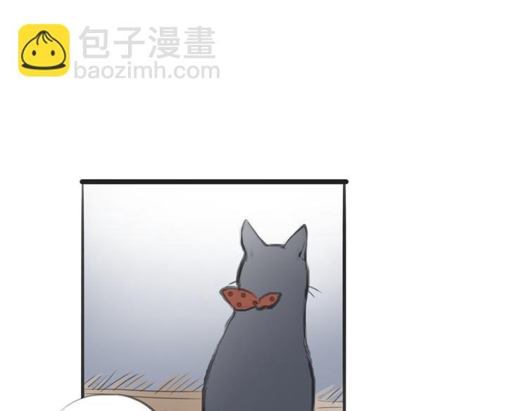 第4话 逃离猫咪王国？