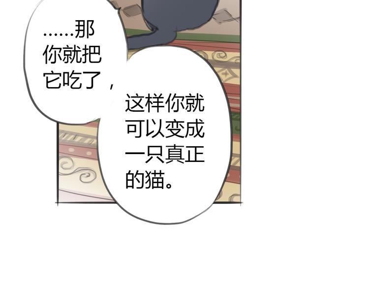 第4话 逃离猫咪王国？