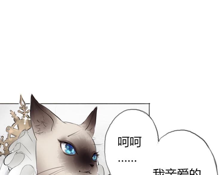 第3话 这些不是我想要的！